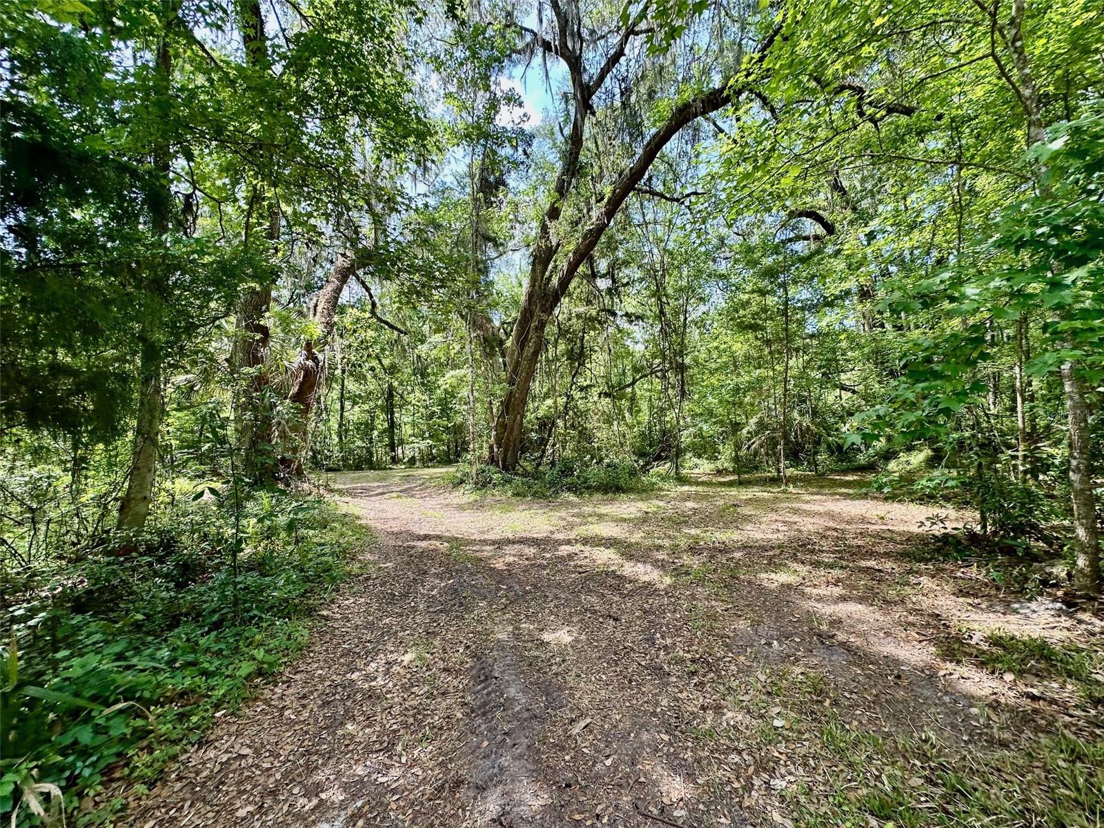12100 NW US HIGHWAY 441, GAINESVILLE, FL — photo 23