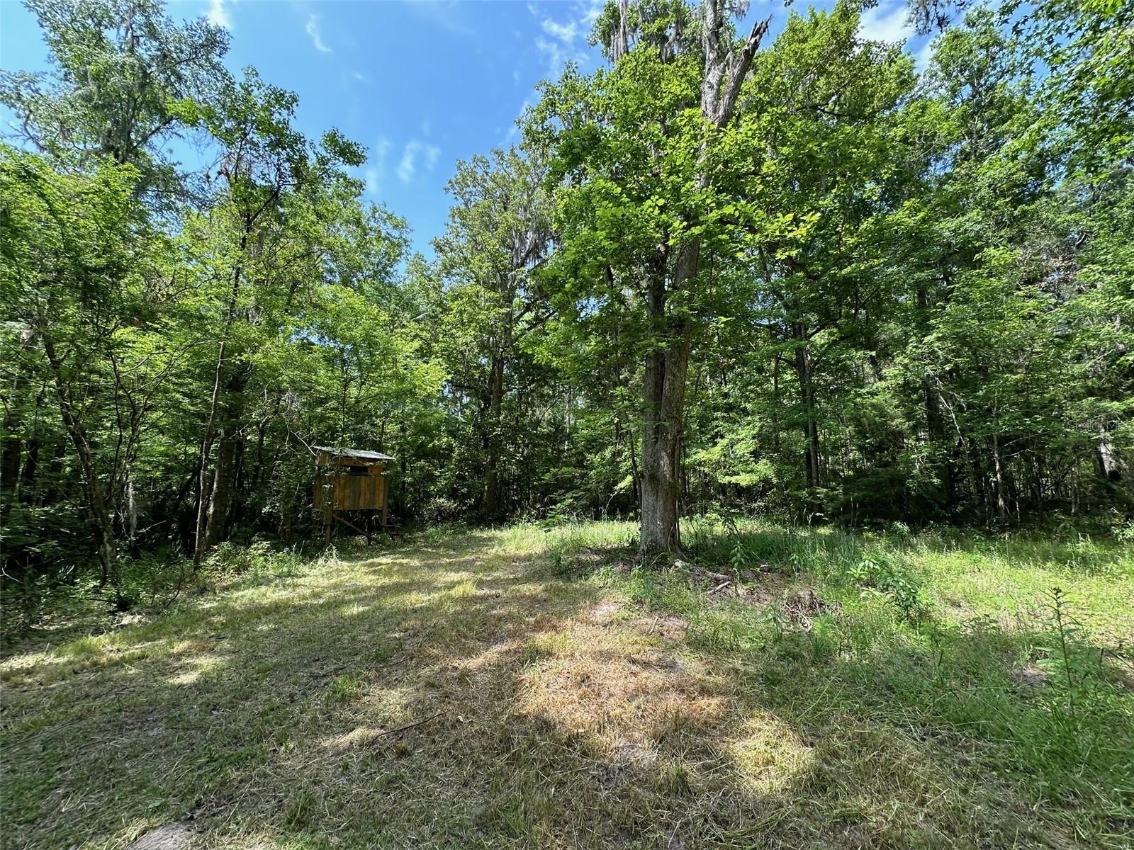 12100 NW US HIGHWAY 441, GAINESVILLE, FL — photo 25