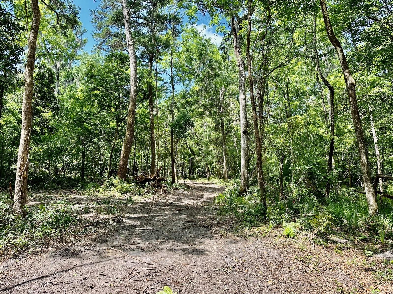 12100 NW US HIGHWAY 441, GAINESVILLE, FL — photo 30