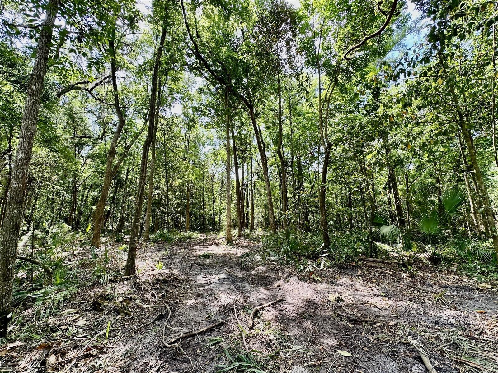 12100 NW US HIGHWAY 441, GAINESVILLE, FL — photo 32