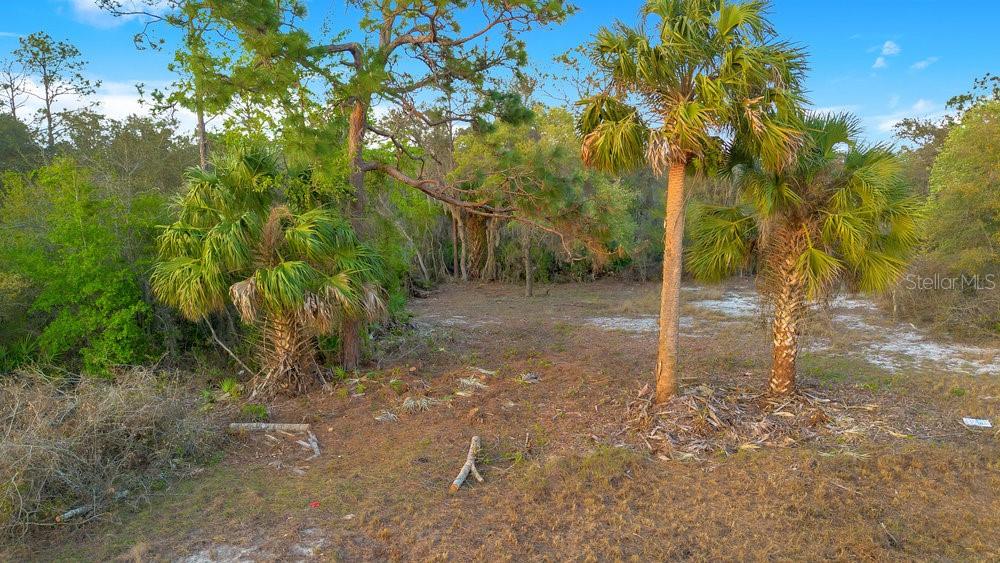 1411 SARASOTA CT, POINCIANA, FL