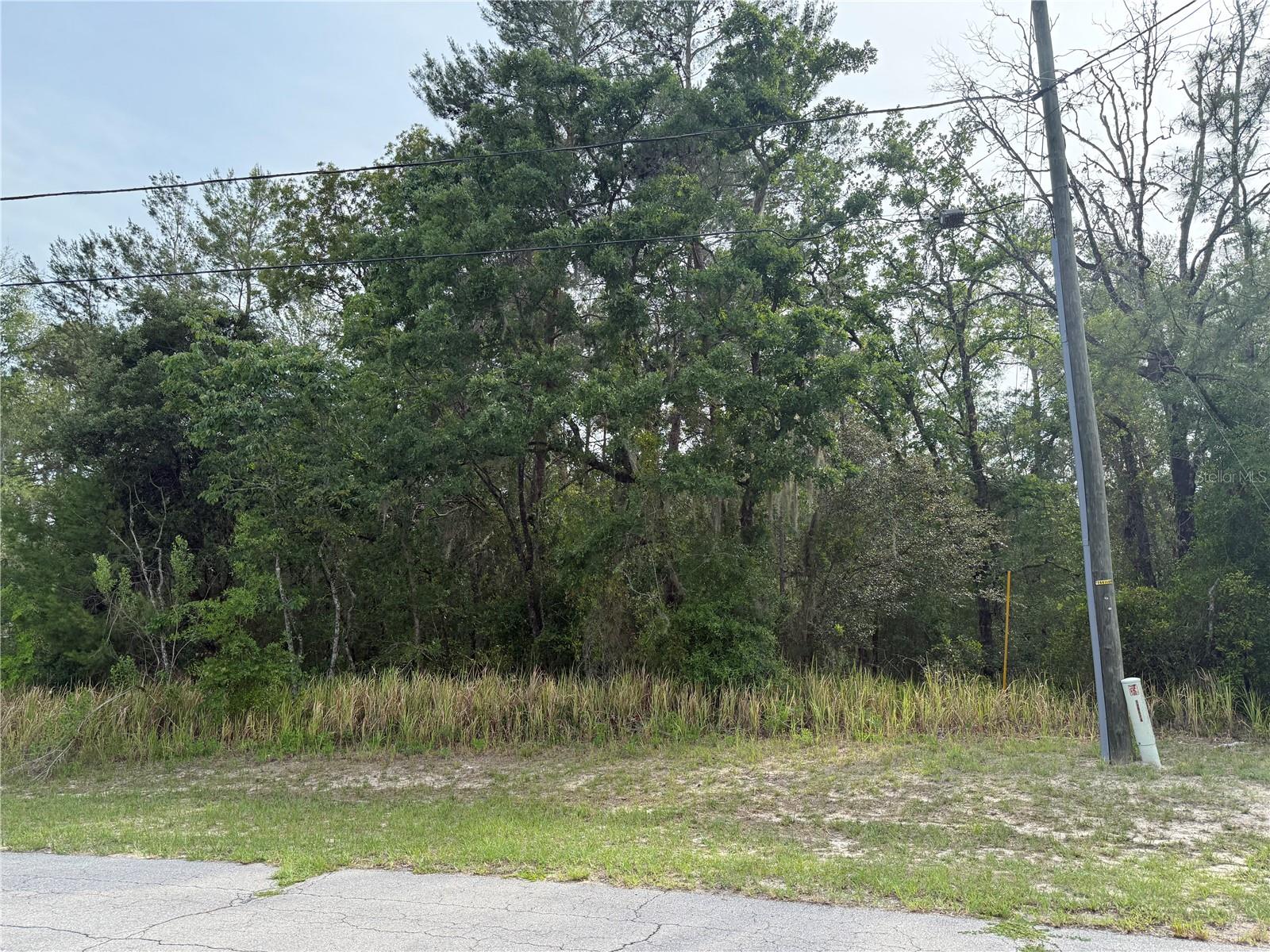 TBD SW 128TH PL, OCALA, FL — photo 2