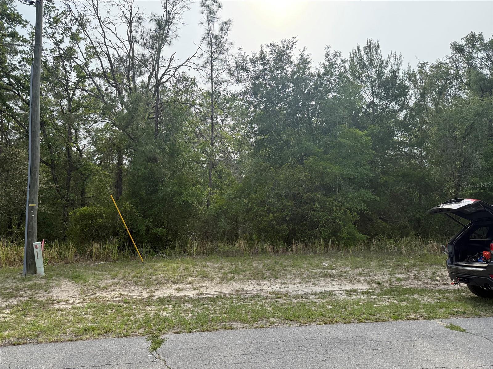 TBD SW 128TH PL, OCALA, FL — photo 4
