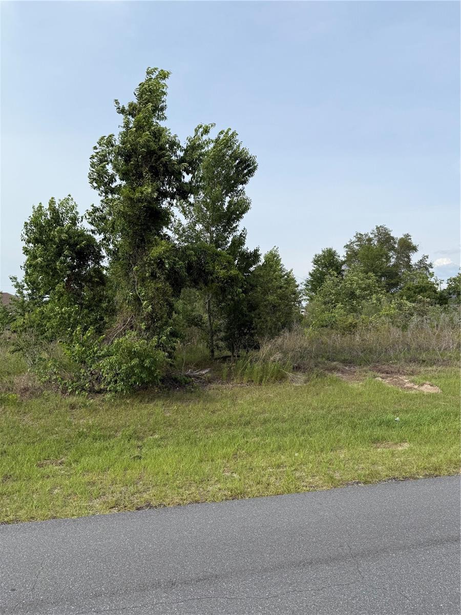 TBD SW 129TH LANE, OCALA, FL
