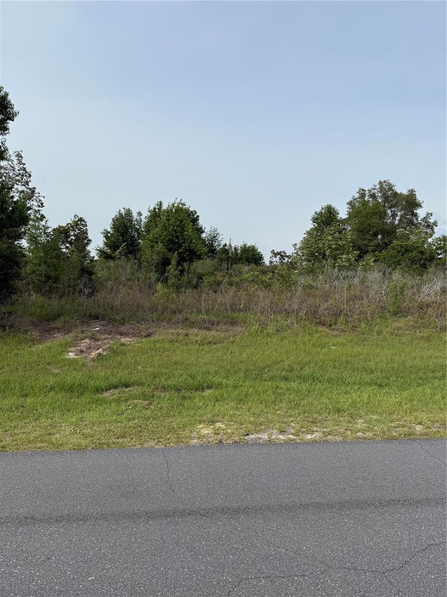 TBD SW 129TH LANE, OCALA, FL — photo 3