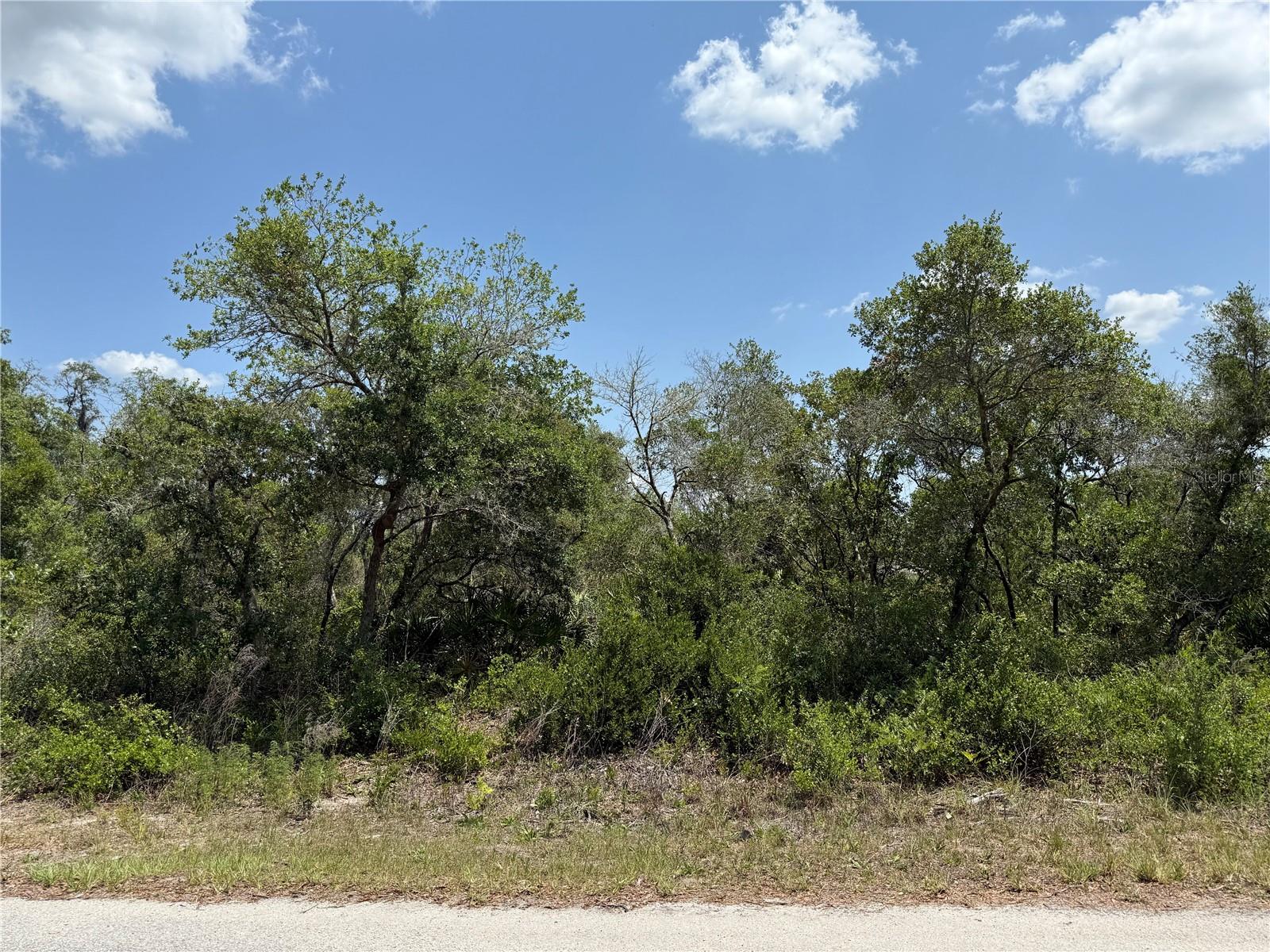 TBD FISHER LOOP #36, OCKLAWAHA, FL