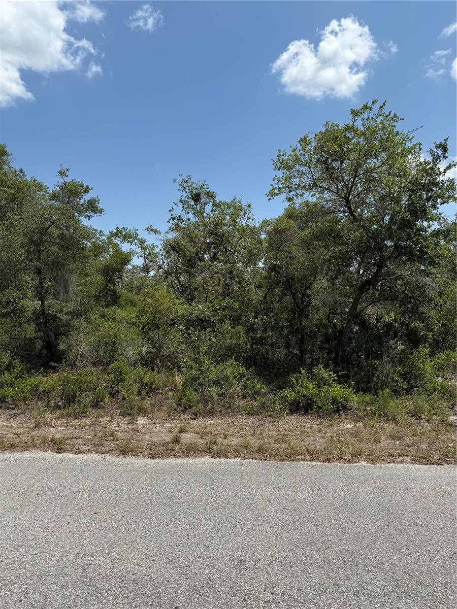 TBD FISHER LOOP #36, OCKLAWAHA, FL — photo 2