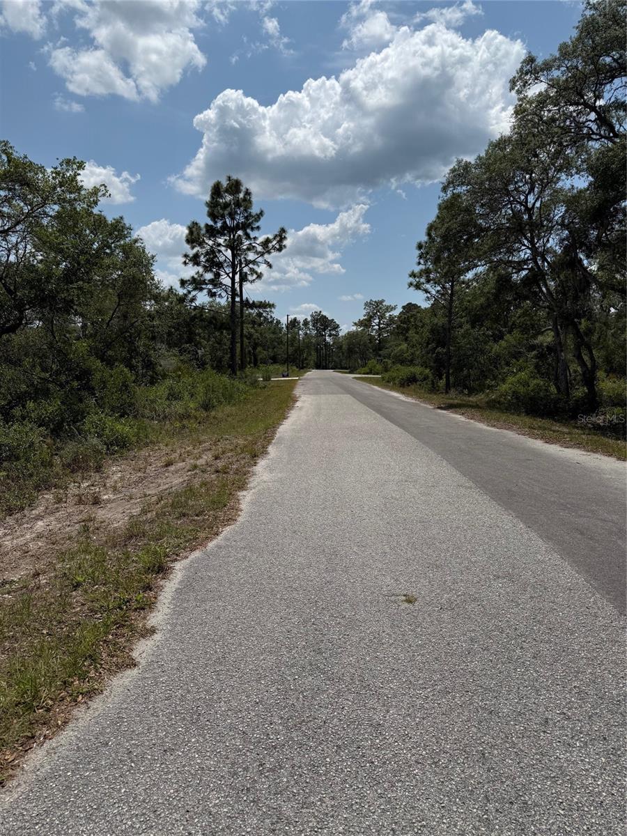 TBD FISHER LOOP #36, OCKLAWAHA, FL — photo 3