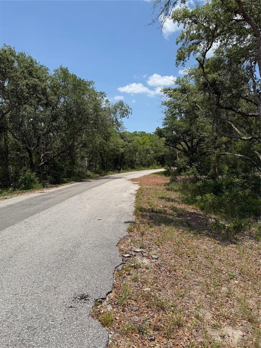 TBD FISHER LOOP #36, OCKLAWAHA, FL — photo 4