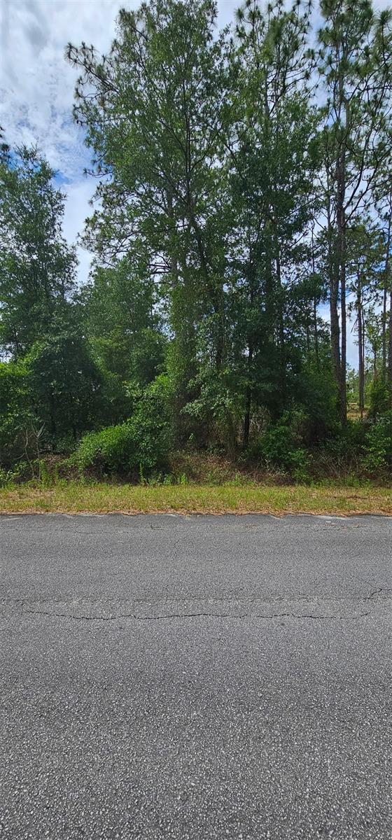 0 NW ASPEN LN, DUNNELLON, FL