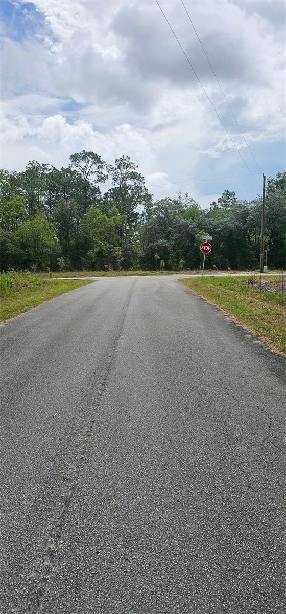 0 NW ASPEN LN, DUNNELLON, FL — photo 9