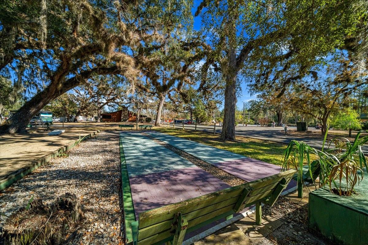 2929 NE 101ST TER, SILVER SPRINGS, FL — photo 46