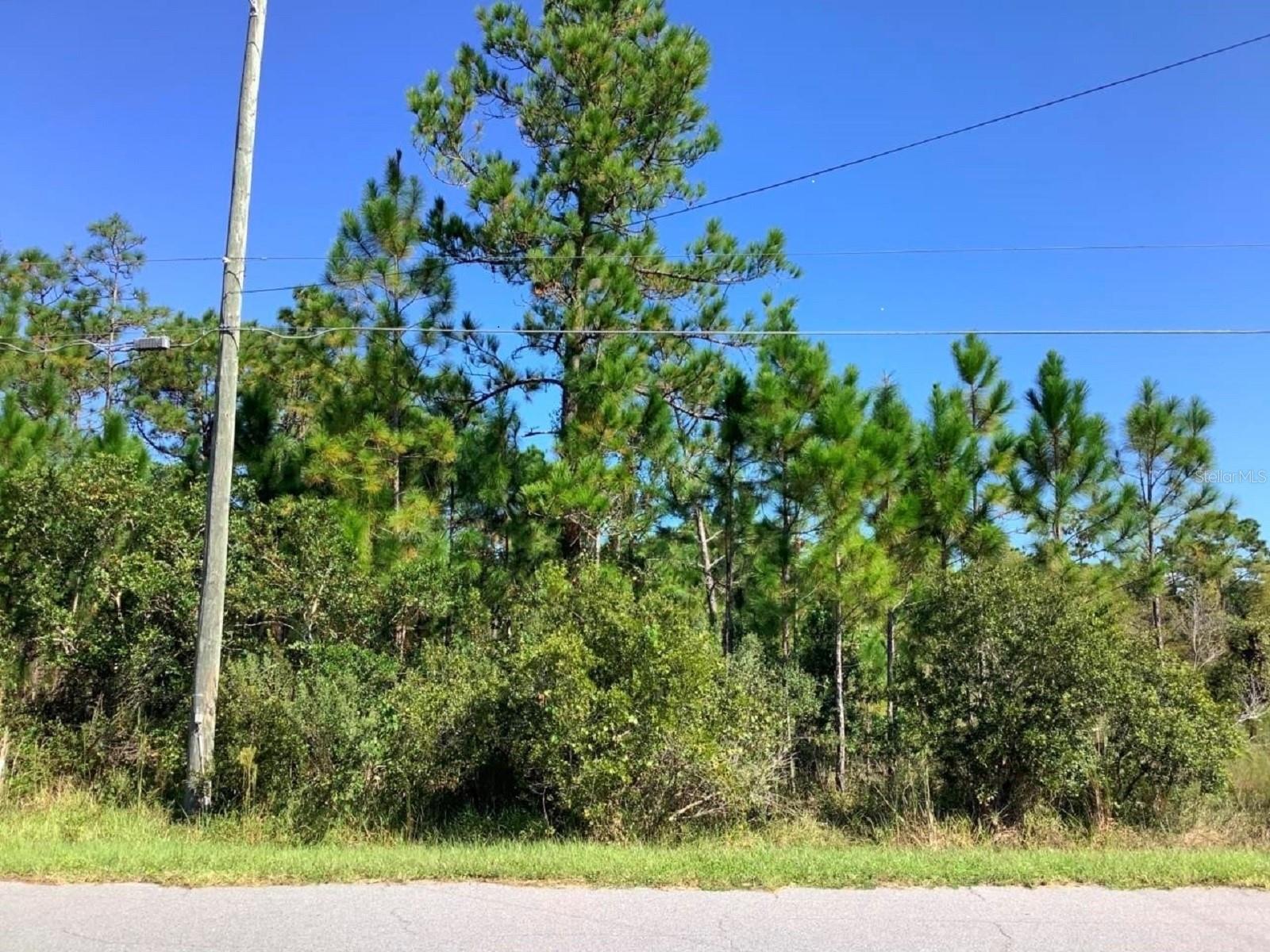 00000 SHELDON ST, ORLANDO, FL — photo 2
