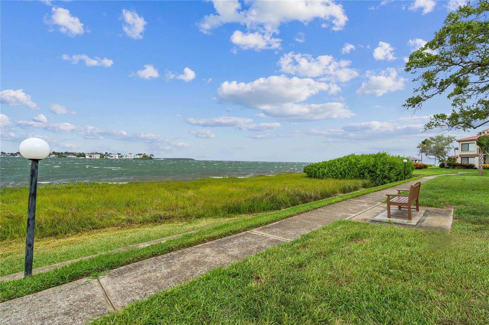 6219 PALMA DEL MAR BLVD S #301, ST PETERSBURG, FL — photo 33