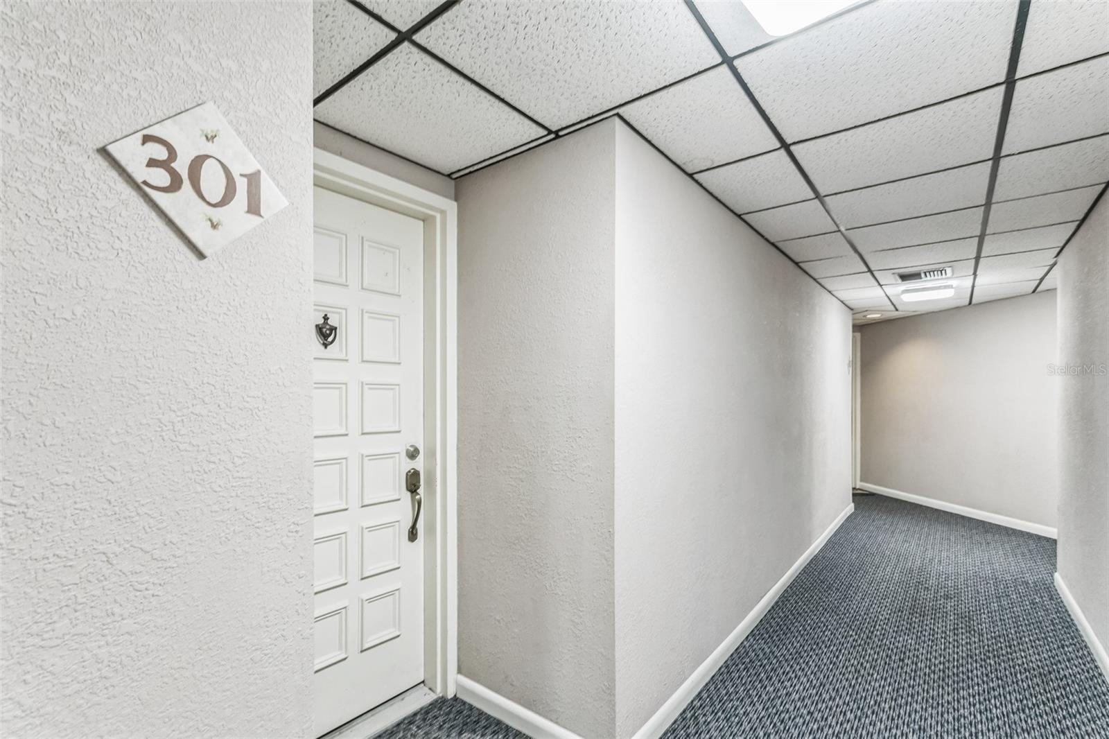 6219 PALMA DEL MAR BLVD S #301, ST PETERSBURG, FL — photo 32