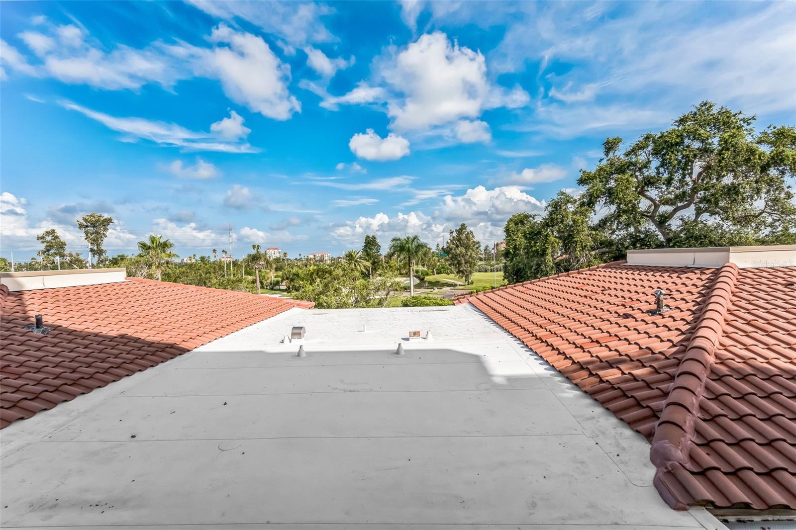 6219 PALMA DEL MAR BLVD S #301, ST PETERSBURG, FL — photo 36