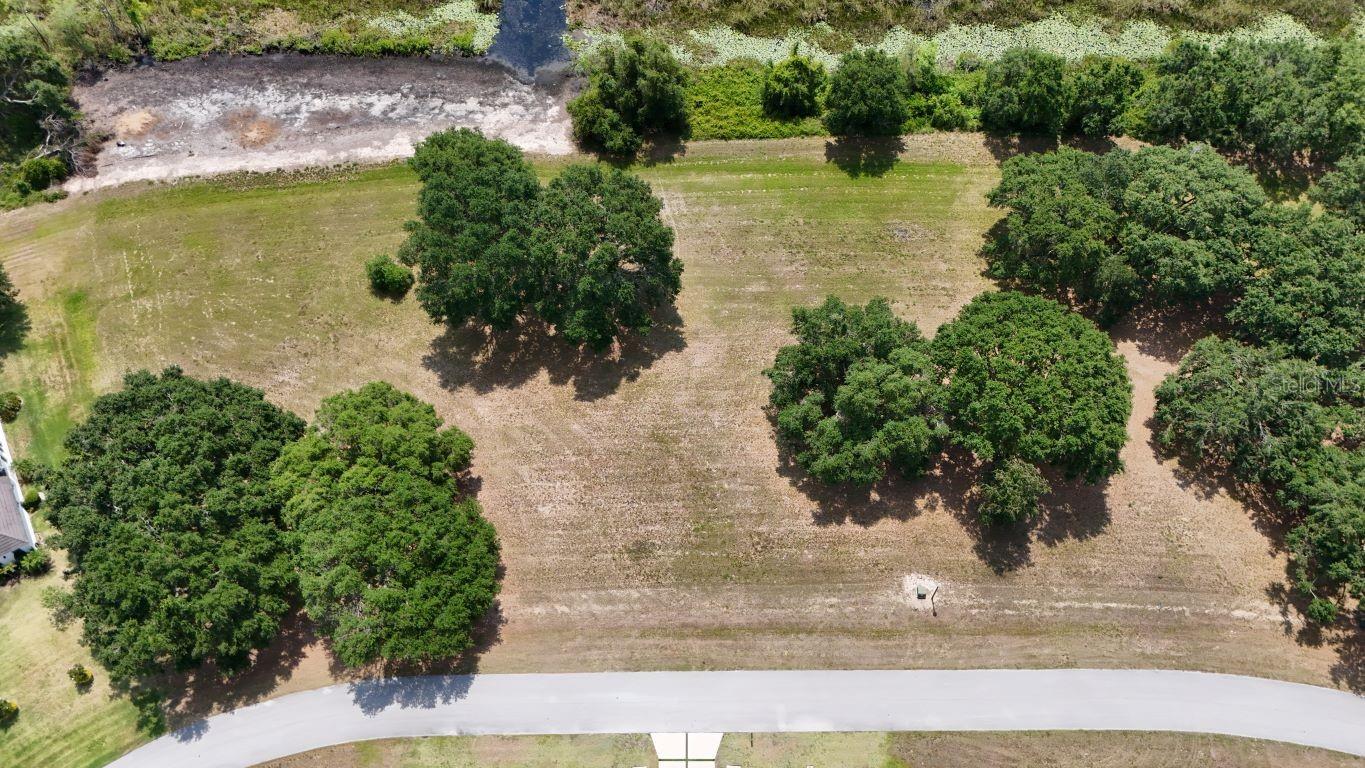ROYAL PALM DR #Lot 34, GROVELAND, FL — photo 13