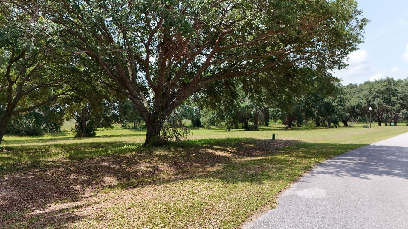 ROYAL PALM DR #Lot 34, GROVELAND, FL — photo 30