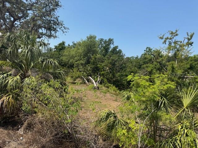 10709 E BAY RD, GIBSONTON, FL — photo 3