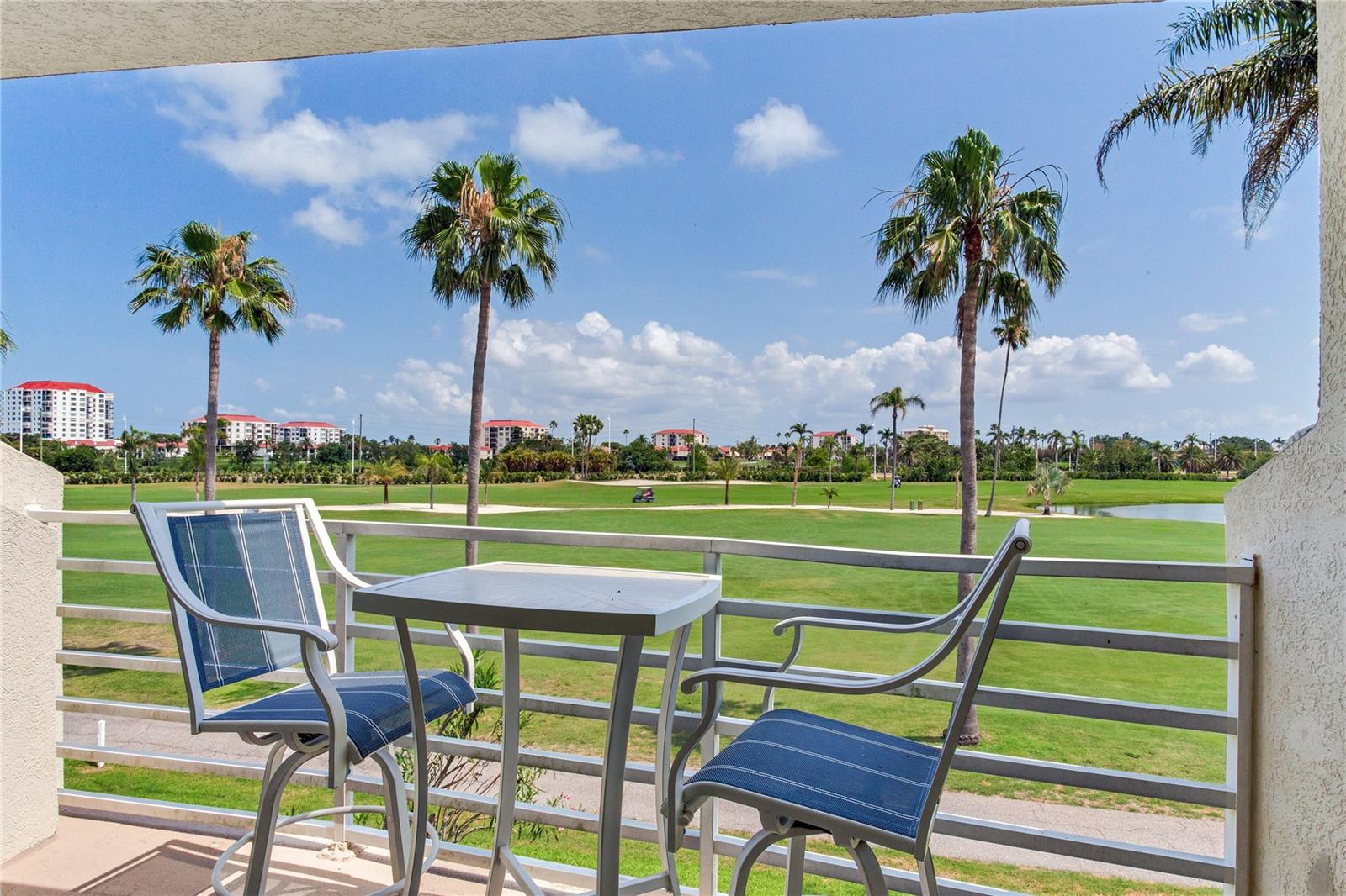 6171 BAHIA DEL MAR BLVD #216, ST PETERSBURG, FL — photo 4