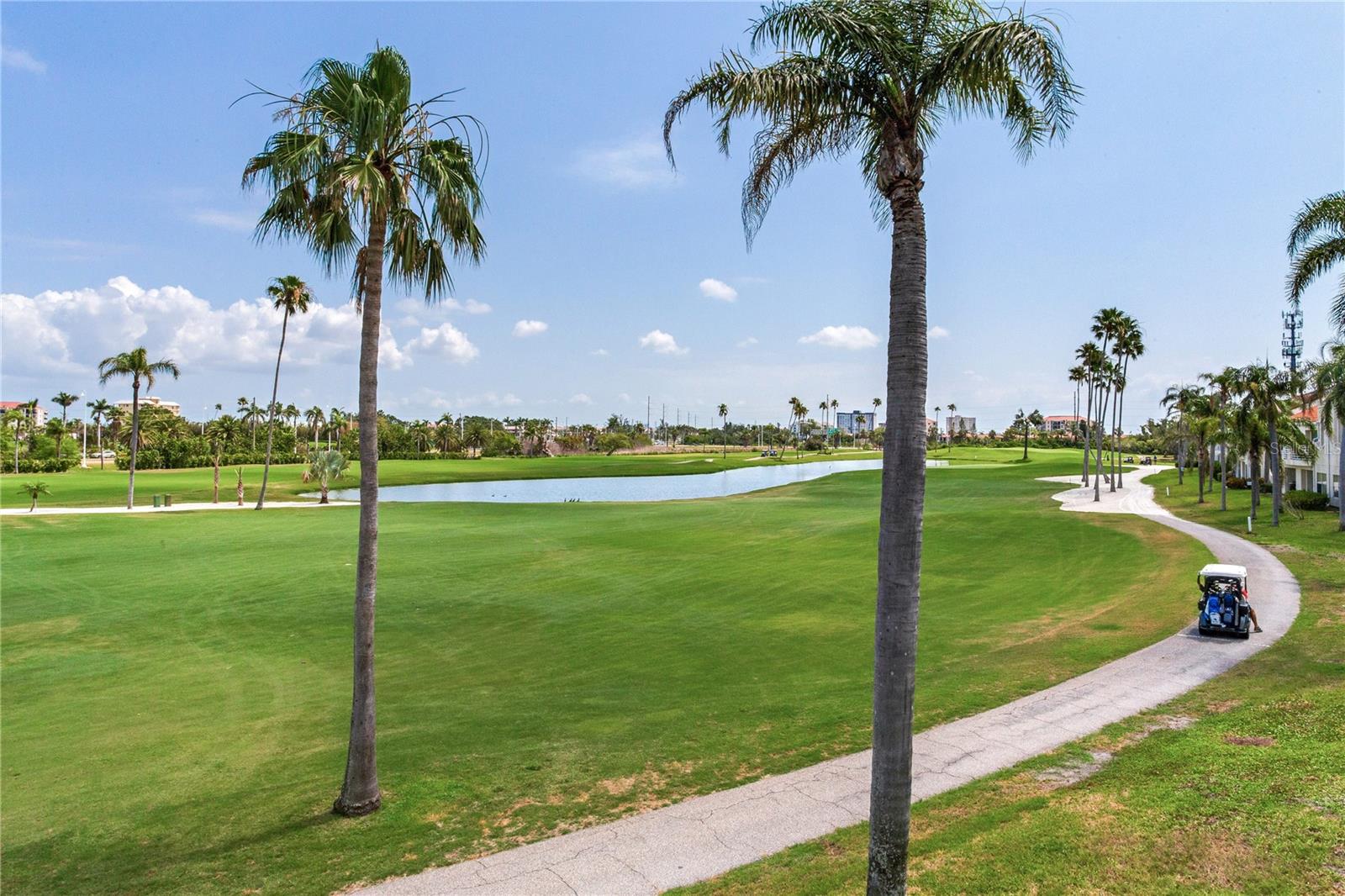 6171 BAHIA DEL MAR BLVD #216, ST PETERSBURG, FL — photo 34