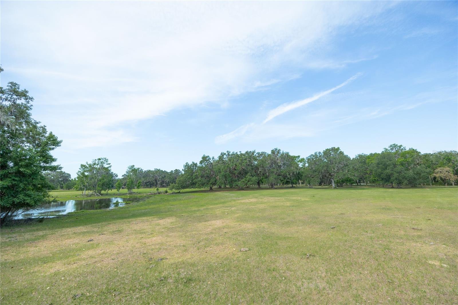 TBD CR 772B, WEBSTER, FL — photo 7