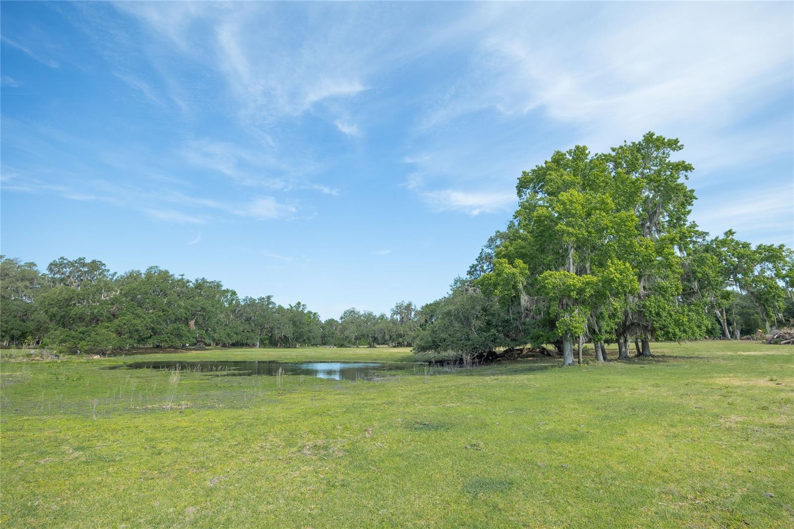 TBD CR 772B, WEBSTER, FL — photo 8