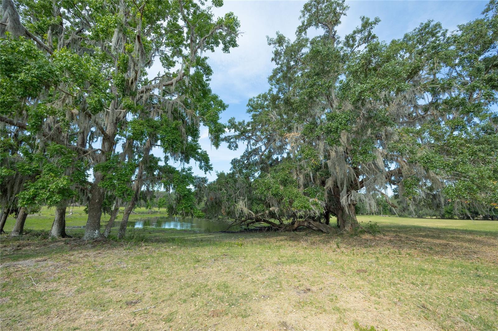 TBD CR 772B, WEBSTER, FL — photo 18