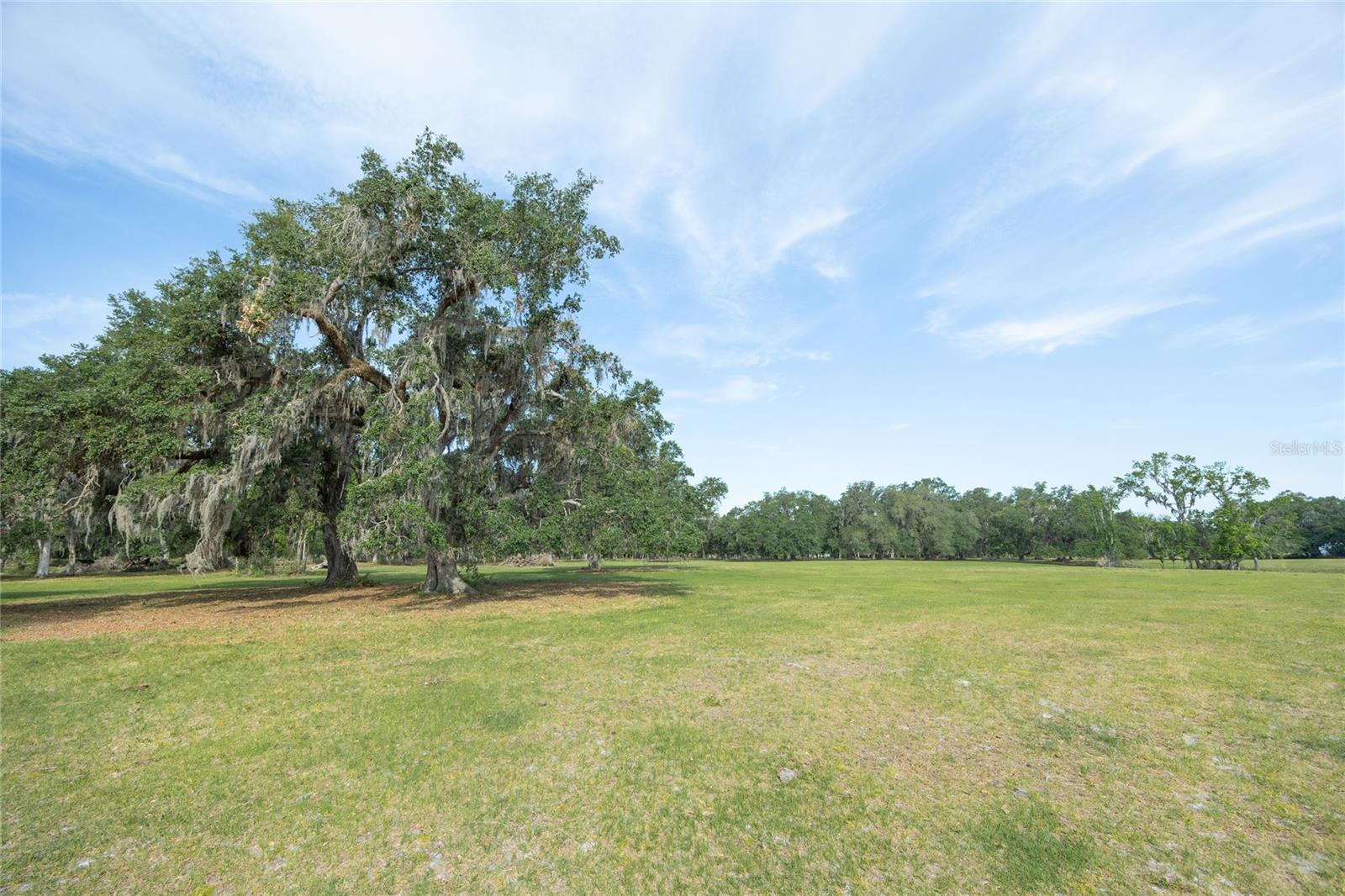 TBD CR 772B, WEBSTER, FL — photo 21