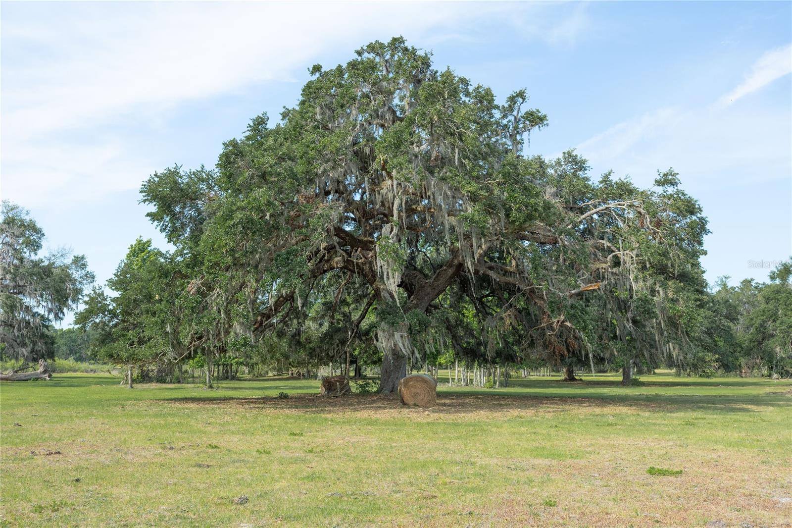TBD CR 772B, WEBSTER, FL — photo 23