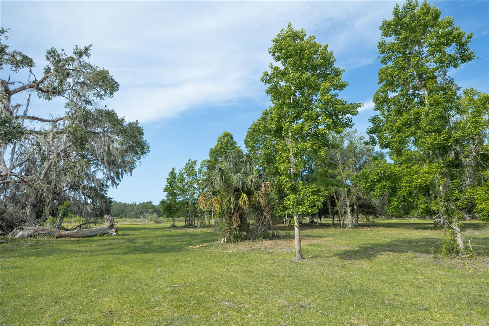 TBD CR 772B, WEBSTER, FL — photo 24
