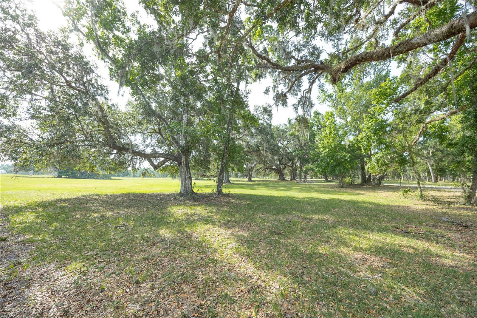 TBD CR 772B, WEBSTER, FL — photo 27