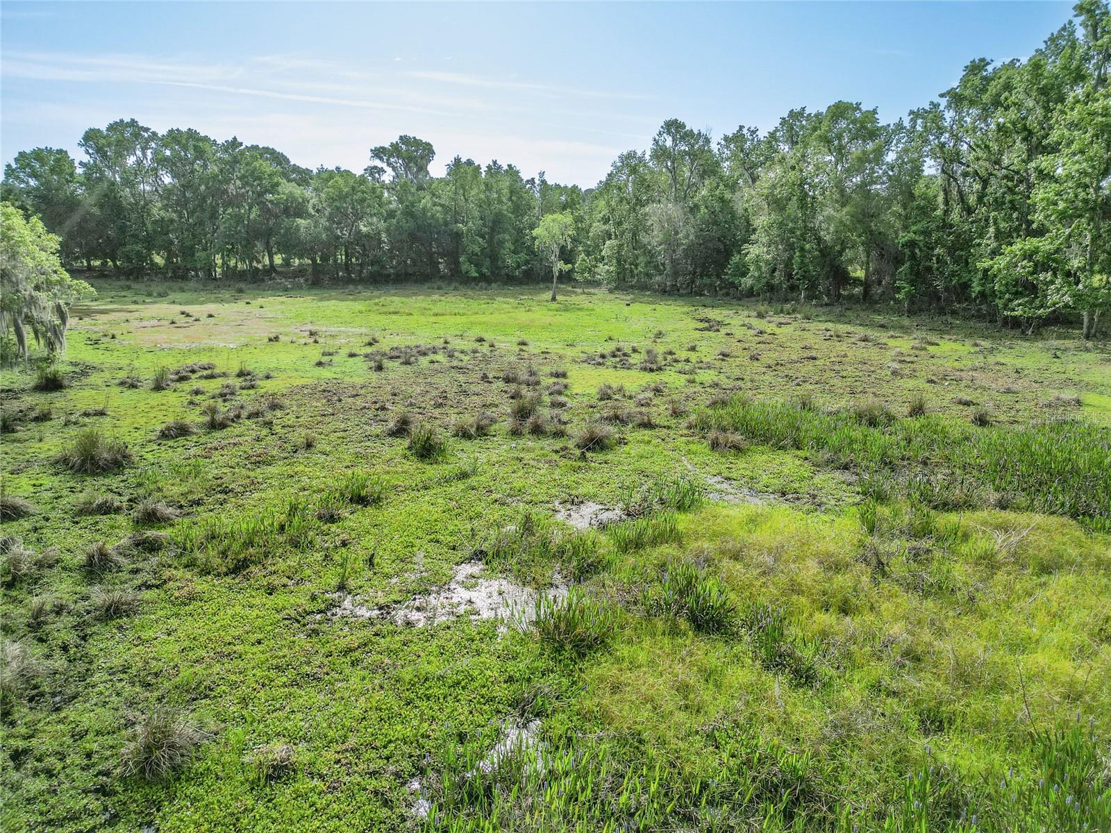 TBD CR 772B, WEBSTER, FL — photo 44