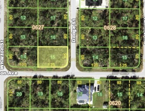 17176 CARSON AVE, PORT CHARLOTTE, FL