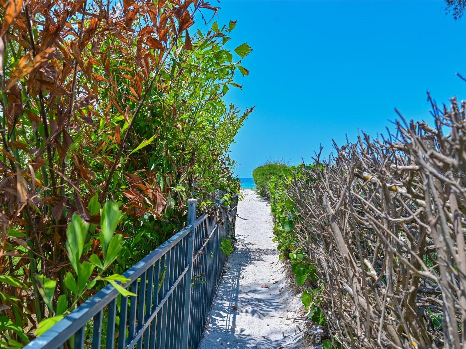 5920 GULF OF MEXICO DR, LONGBOAT KEY, FL — photo 41