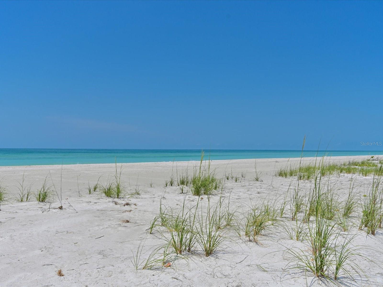 5920 GULF OF MEXICO DR, LONGBOAT KEY, FL — photo 44