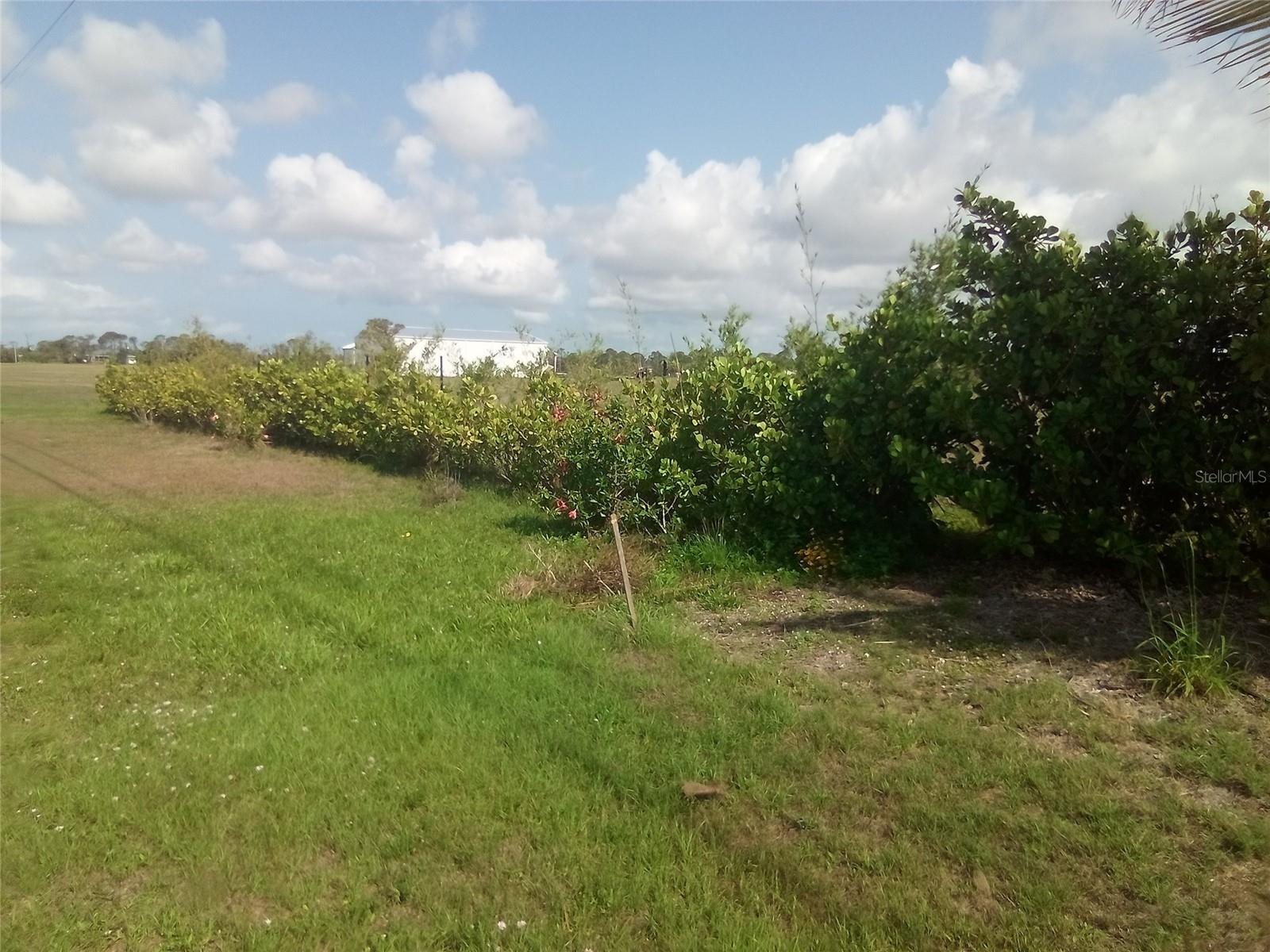 102 HARNESS RD, PLACIDA, FL — photo 4