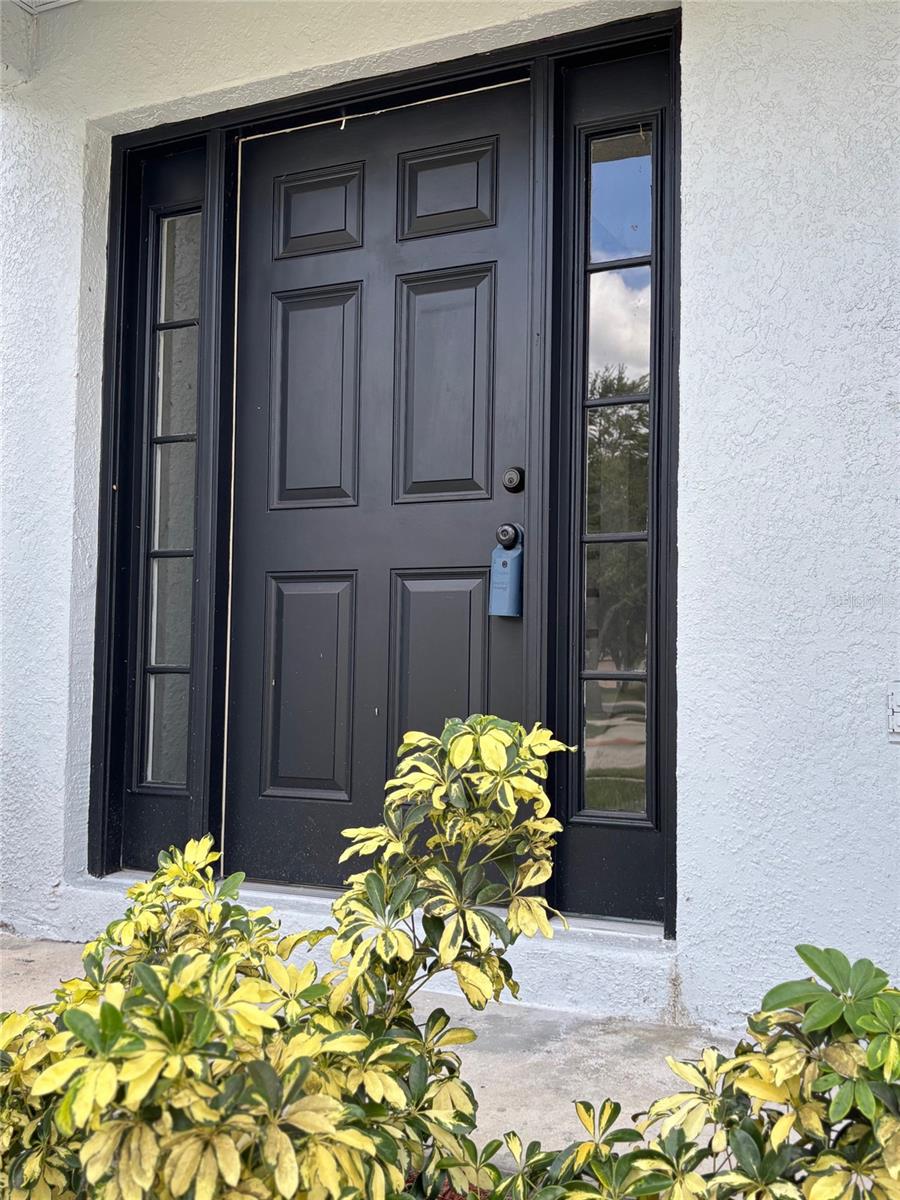 11102 SUMMER STAR DR, RIVERVIEW, FL — photo 29