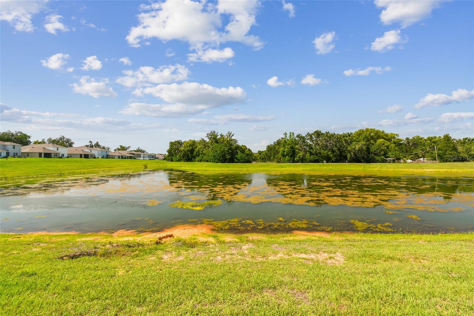 36673 SPANISH ROSE DR, DADE CITY, FL — photo 5