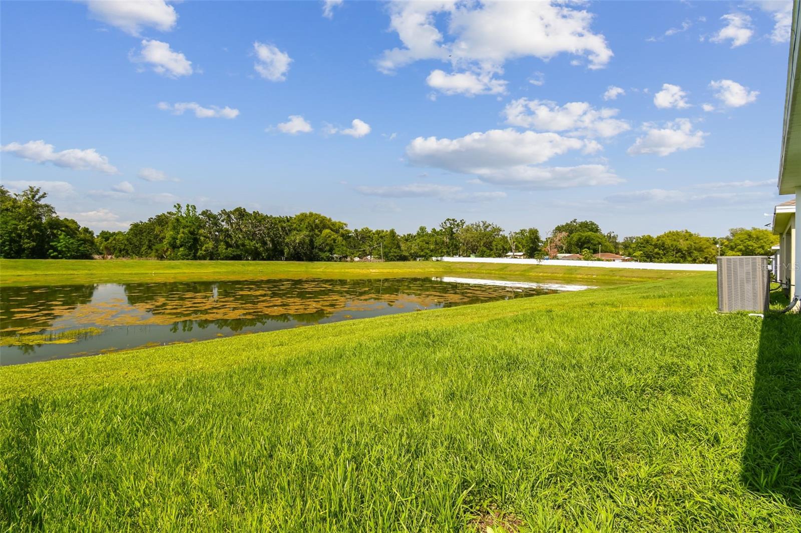 36673 SPANISH ROSE DR, DADE CITY, FL — photo 50