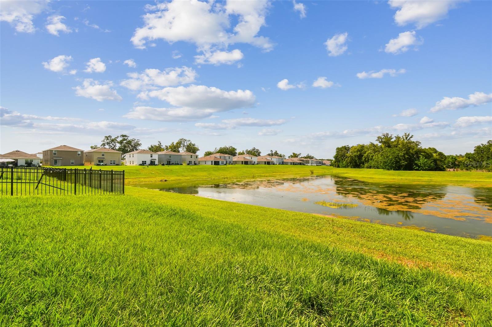 36673 SPANISH ROSE DR, DADE CITY, FL — photo 58