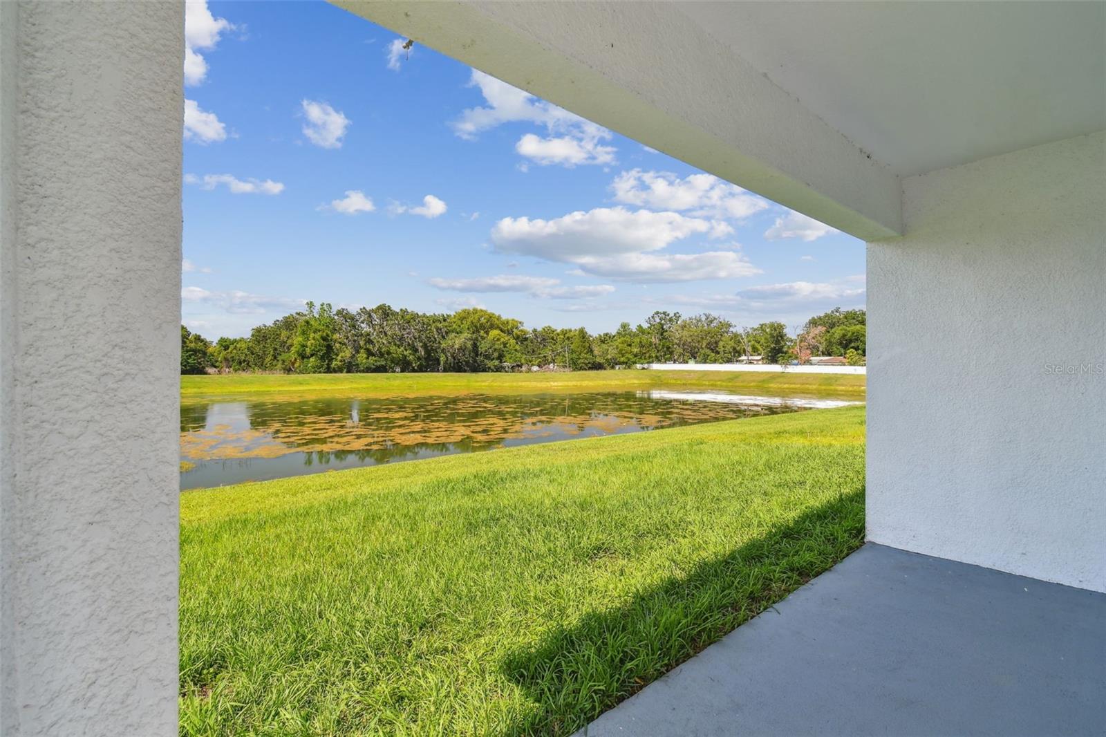 36673 SPANISH ROSE DR, DADE CITY, FL — photo 61