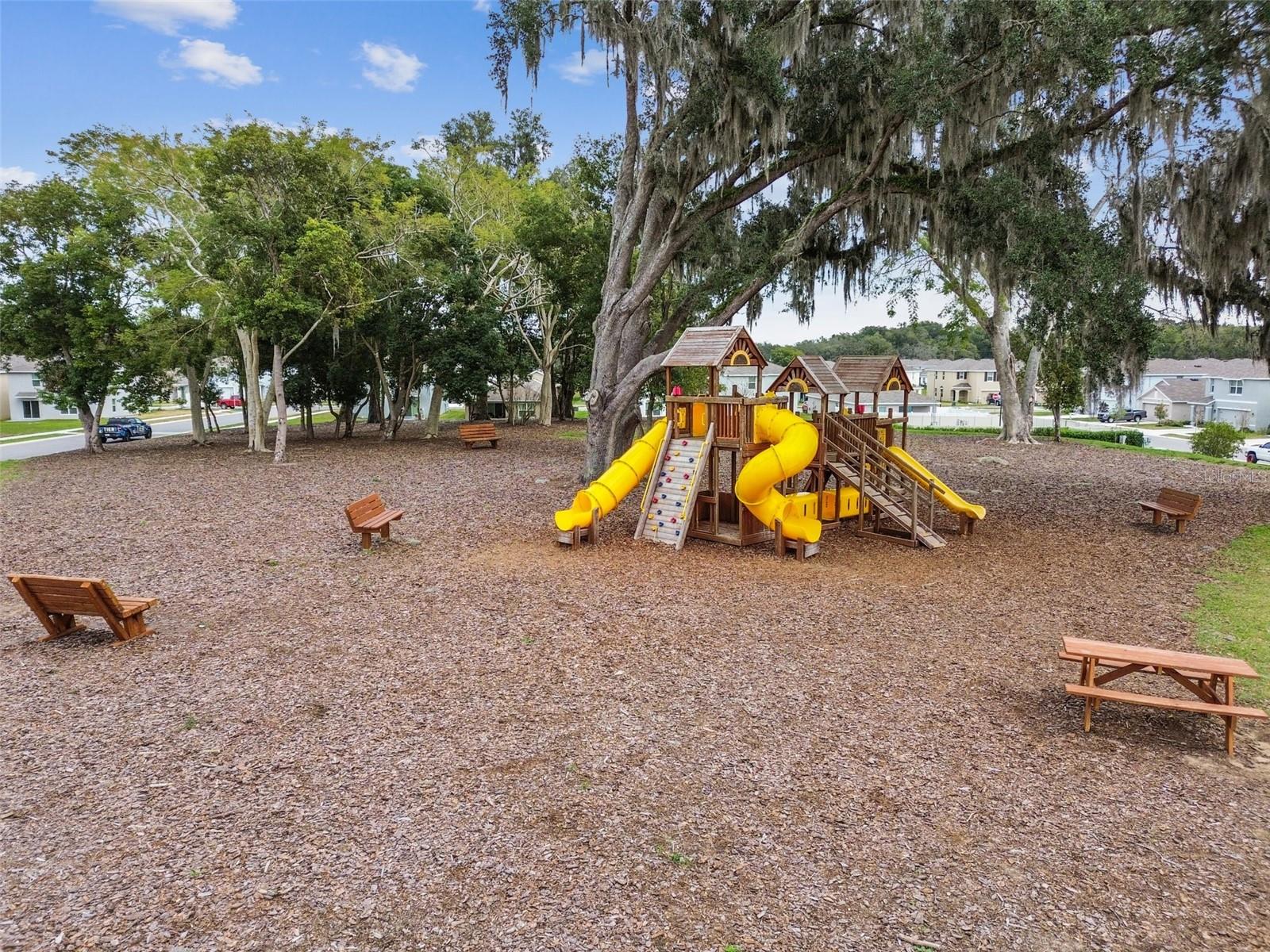 36673 SPANISH ROSE DR, DADE CITY, FL — photo 82
