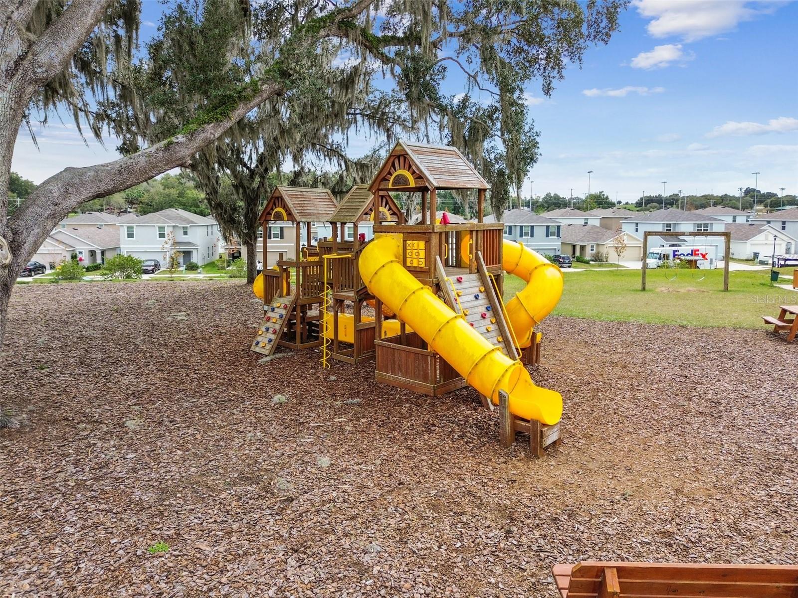 36673 SPANISH ROSE DR, DADE CITY, FL — photo 83