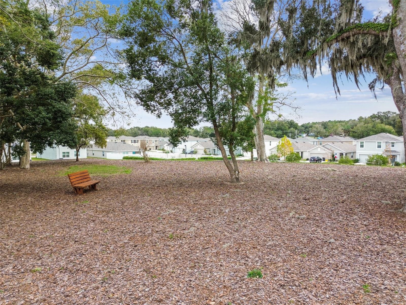 36673 SPANISH ROSE DR, DADE CITY, FL — photo 84