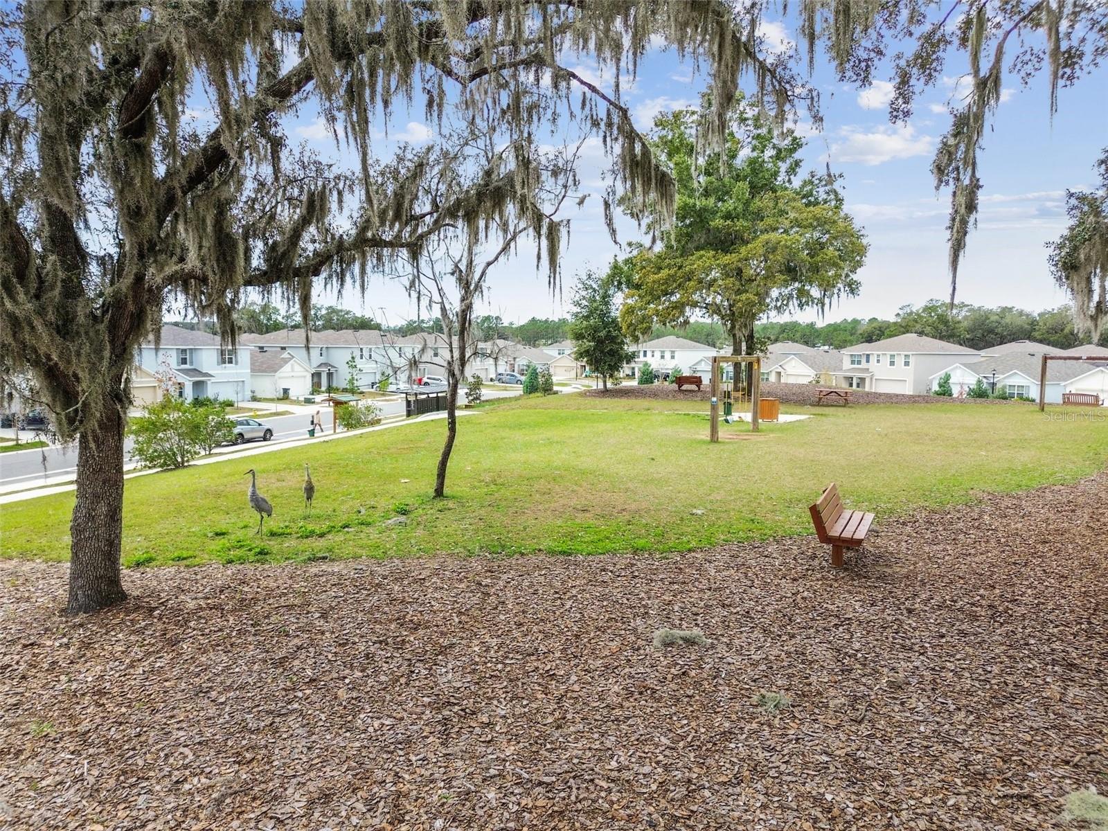 36673 SPANISH ROSE DR, DADE CITY, FL — photo 85