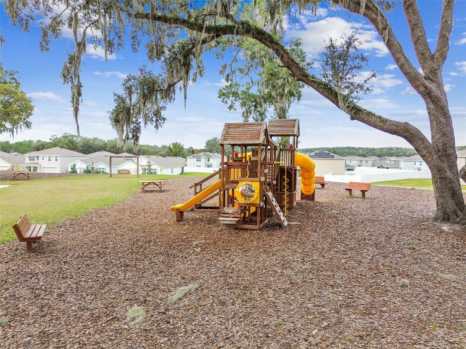36673 SPANISH ROSE DR, DADE CITY, FL — photo 86