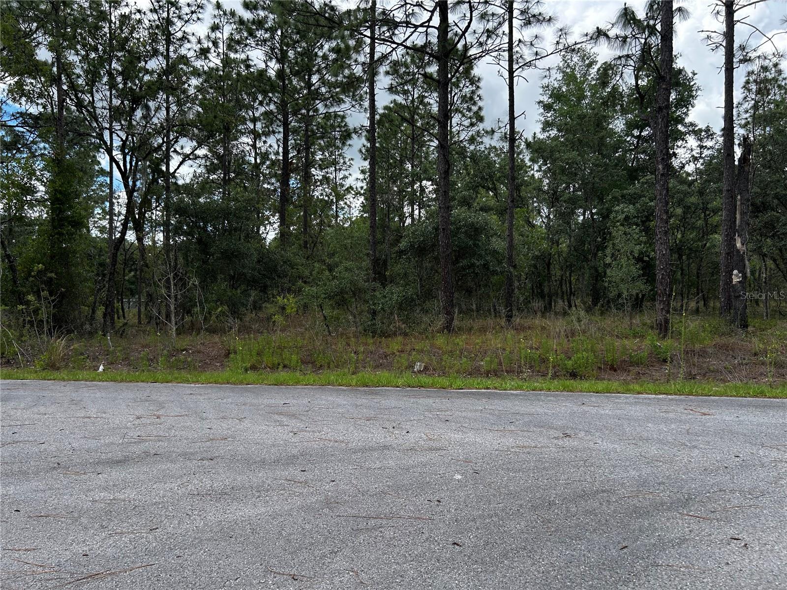 TBD NW FOXGLOVE LN, DUNNELLON, FL — photo 11