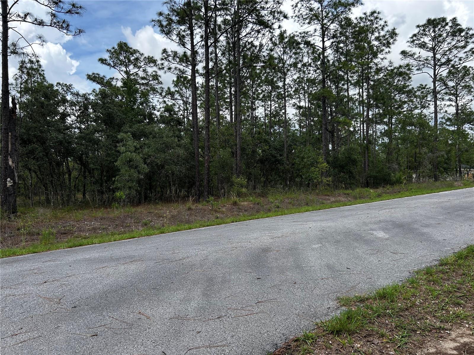 TBD NW FOXGLOVE LN, DUNNELLON, FL — photo 13