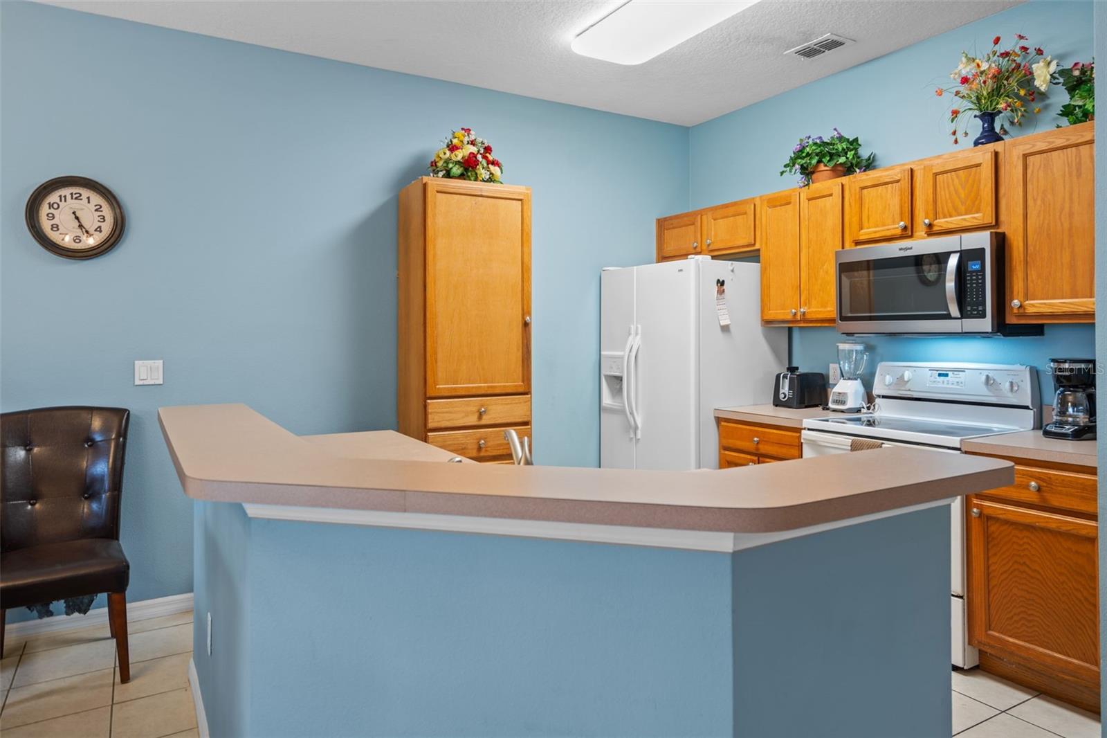 3015 YELLOW LANTANA LN, KISSIMMEE, FL — photo 16